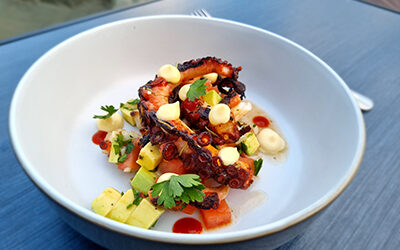 Grilled Octopus